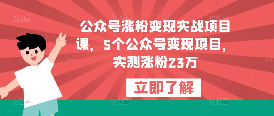 公众号涨粉变现实战项目课，5个公众号变现项目，实测涨粉23万-稀缺资源库
