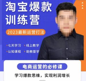爱上黄昏·淘宝爆款训练营,2023最新运营打法,学习爆款思维,实现利润增长-稀缺资源库