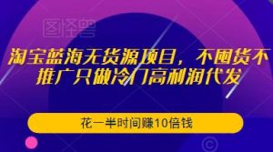 淘宝蓝海无货源项目，不囤货不推广只做冷门高利润代发，花一半时间赚10倍钱-稀缺资源库