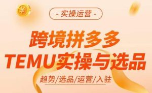 跨境拼多多TEMU实操与选品,掌握平台运营方法技巧,选品避坑12条标准,爆款的底层思路等-稀缺资源库
