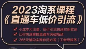 2023直通车低价引流玩法课程，小成本大流量，低价引流快速拉新收割，让你快速掌握直通车突破瓶颈-稀缺资源库