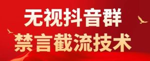 外面卖1500抖音粉丝群无视禁言截流技术,抖音黑科技,直接引流,0封号-稀缺资源库