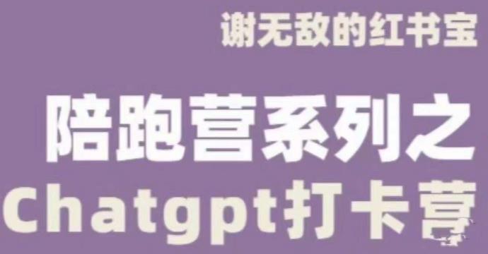 谢无敌ChatGPT打卡营，教你更好地使用ChatGPT来提高工作效率-稀缺资源库