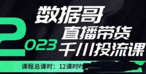 数据哥2023直播电商巨量千川付费投流实操课,快速掌握直播带货运营投放策略-稀缺资源库