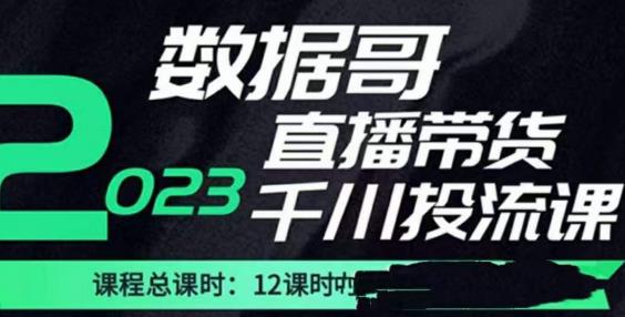 数据哥2023直播电商巨量千川付费投流实操课，快速掌握直播带货运营投放策略-稀缺资源库