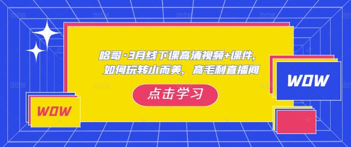 哈哥·3月线下实操课高清视频+课件，如何玩转小而美，高毛利直播间-稀缺资源库