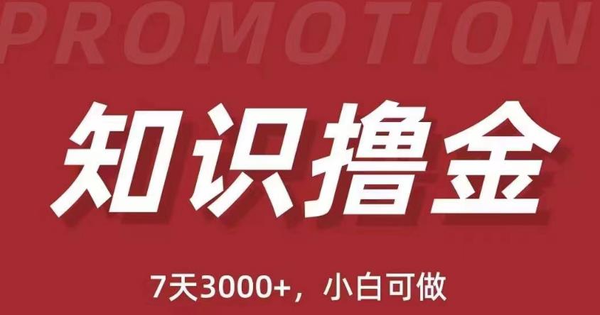 抖音知识撸金项目：简单粗暴日入1000+执行力强当天见收益(教程+资料)-稀缺资源库