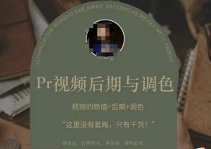 Pr视频后期与调色,视频颜值=后期+调色,这里没有套路,只有干货!-稀缺资源库