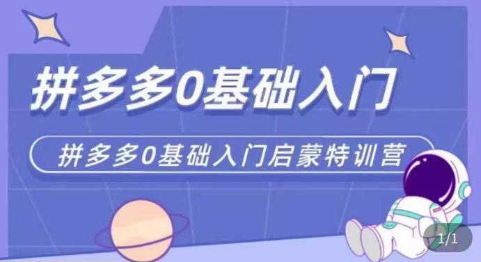 拼多多运营0-1实操特训营，拼多多0基础入门，从基础到进阶的可实操玩法-稀缺资源库