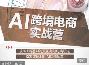 白龙老师·AI跨境电商实战营:从0-1精通Al的真正有效电商玩法,卖家如何利用Al快速超车-稀缺资源库