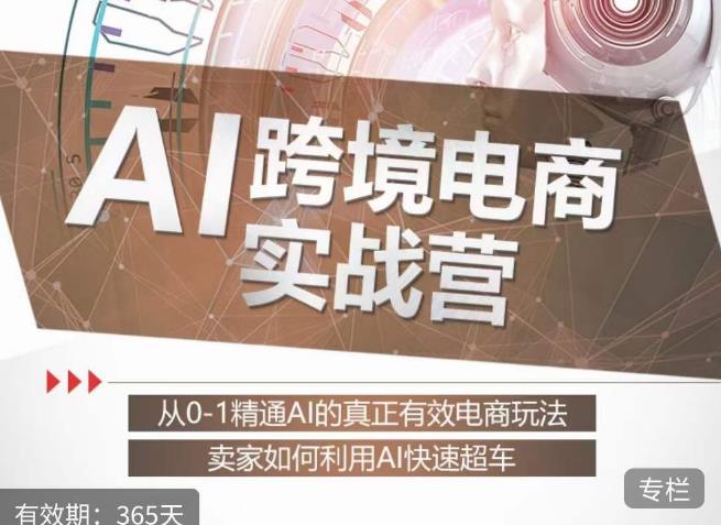 白龙老师·AI跨境电商实战营：从0-1精通Al的真正有效电商玩法，卖家如何利用Al快速超车-稀缺资源库