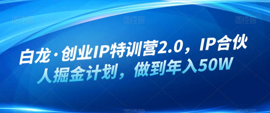 白龙·创业IP特训营2.0，IP合伙人掘金计划，做到年入50W-稀缺资源库