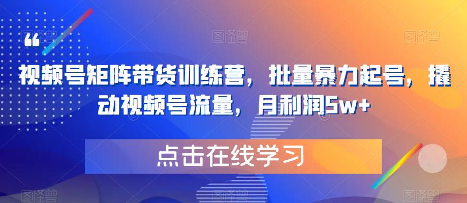 视频号矩阵带货训练营，批量暴力起号，撬动视频号流量，月利润5w+-稀缺资源库