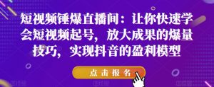短视频锤爆直播间:让你快速学会短视频起号,放大成果的爆量技巧,实现抖音的盈利模型-稀缺资源库