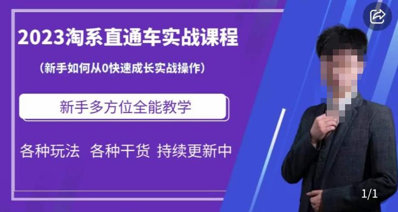 2023淘系直通车保姆式运营讲解，新手如何从0快速成长实战操作，新手多方位全能教学-稀缺资源库