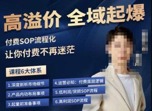 逸风-拼多多高溢价全域起爆,6大课程体系,付费玩法全套实操-稀缺资源库