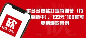 拼多多爆款打造特训营(持续更新中),199元*100套可复制爆款案例-稀缺资源库