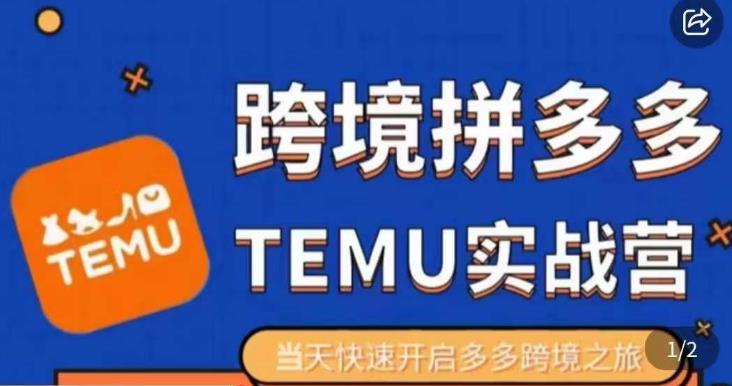 大鹏出海·拼多多跨境temu运营指导，开店注册+选品+核价上架，日出千单实战课-稀缺资源库