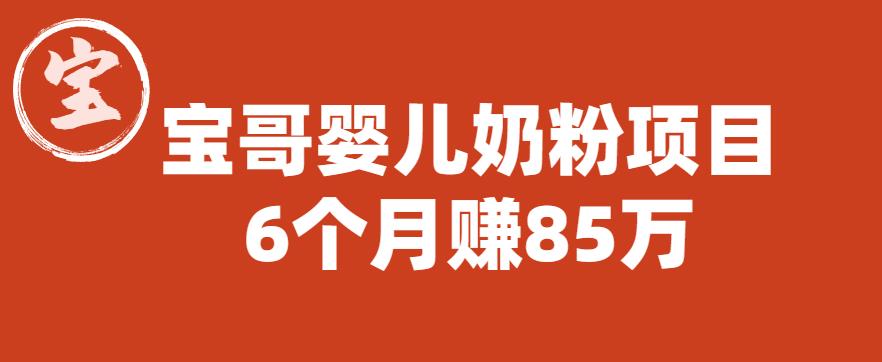 宝哥婴儿奶粉项目，6个月赚85w【图文非视频】【揭秘】-稀缺资源库