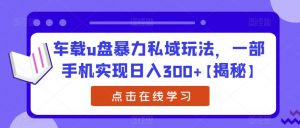 车载u盘暴力私域玩法,一部手机实现日入300+【揭秘】-稀缺资源库
