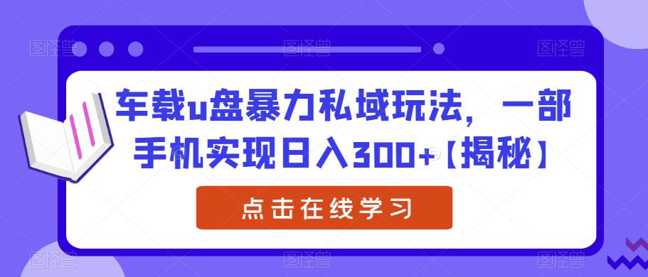车载u盘暴力私域玩法，一部手机实现日入300+【揭秘】-稀缺资源库