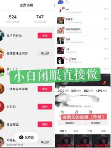 一天做完别一辈子的视频制作最近很火的《1000个野路子信息差》100%过原创【揭秘】-稀缺资源库