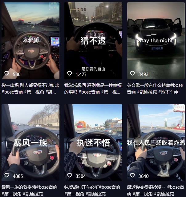 抖音开车视频项目，0基础操作，每天五分钟，月入1W+【揭秘】-稀缺资源库