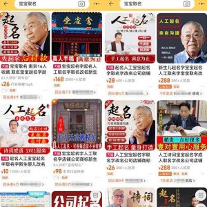 拆解小红书宝宝起名虚拟副业项目,一条龙实操玩法分享给你(教程+软件)-稀缺资源库