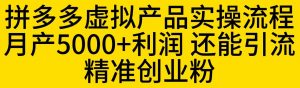 拼多多虚拟产品实操流程,月产5000+利润,还能引流精准创业粉【揭秘】-稀缺资源库