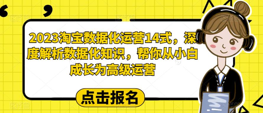 2023淘宝数据化运营14式，深度解析数据化知识，帮你从小白成长为高级运营-稀缺资源库