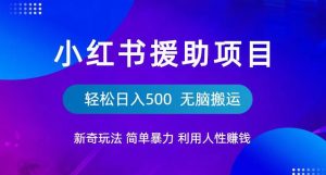 小红书援助项目新奇玩法，简单暴力，无脑搬运轻松日入500【揭秘】-稀缺资源库