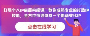 蟹老板·打爆个人IP底层实操课,教你成熟专业的打造IP技能,全方位带你做成一个能商业化IP-稀缺资源库