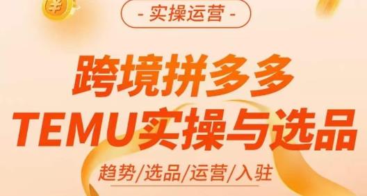 伍跃·跨境拼多多TEMU实操与选品，​趋势/选品/运营/入住（27节完整）-稀缺资源库