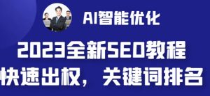 2023最新网站AI智能优化SEO教程,简单快速出权重,AI自动写文章+AI绘画配图-稀缺资源库
