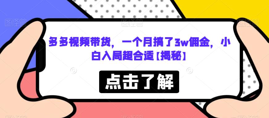 多多视频带货，一个月搞了3w佣金，小白入局超合适【揭秘】-稀缺资源库