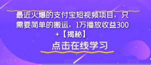 最近火爆的支付宝短视频项目,只需要简单的搬运,1万播放收益300+【揭秘】-稀缺资源库