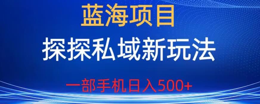 蓝海项目，探探私域新玩法，一部手机日入500+很轻松【揭秘】-稀缺资源库