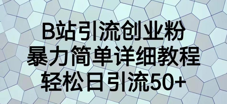 B站引流创业粉，暴力简单详细教程，轻松日引流50+【揭秘】-稀缺资源库