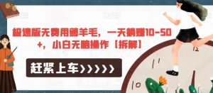 极速版无费用薅羊毛,一天躺赚10-50+,小白无脑操作【拆解】-稀缺资源库