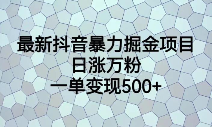 最新抖音暴力掘金项目，日涨万粉，一单变现500+【揭秘】-稀缺资源库