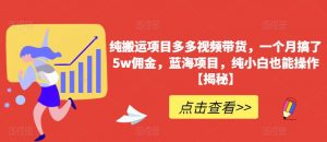 纯搬运项目多多视频带货,一个月搞了5w佣金,蓝海项目,纯小白也能操作【揭秘】-稀缺资源库