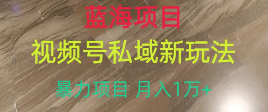 蓝海项目，视频号私域新玩法，暴力项目月入1万+【揭秘】-稀缺资源库