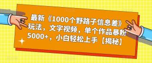 最新《1000个野路子信息差》玩法，文字视频，单个作品暴粉5000+，小白轻松上手【揭秘】-稀缺资源库