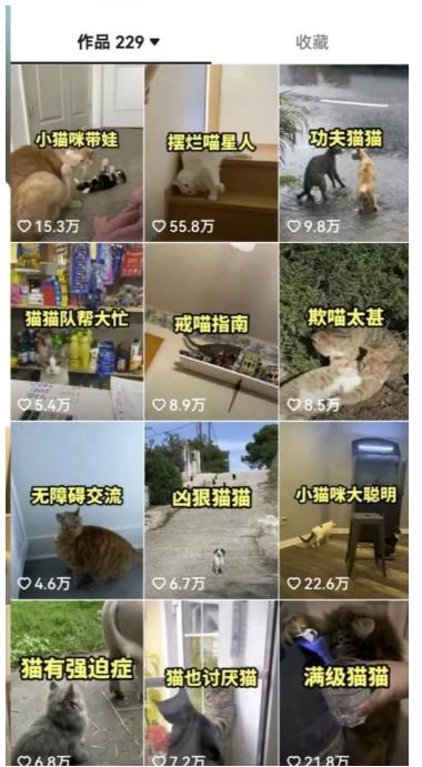 拆解抖音盘点类中视频变现副业项目，视频版一条龙大解析分享给你【视频课程】-稀缺资源库