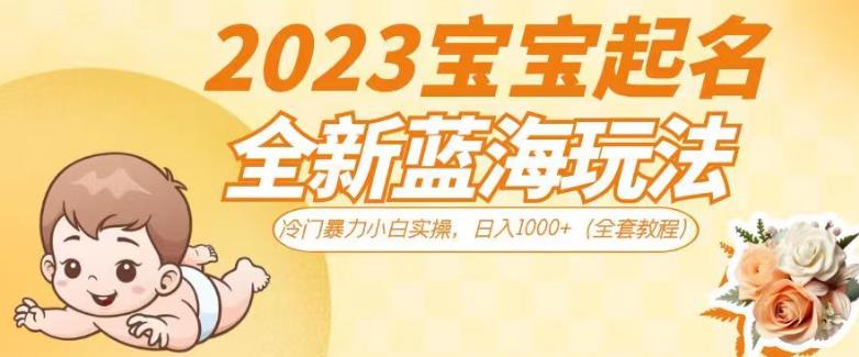 2023宝宝起名全新蓝海玩法，冷门暴力小白实操，日入1000+（全套教程）【揭秘】-稀缺资源库