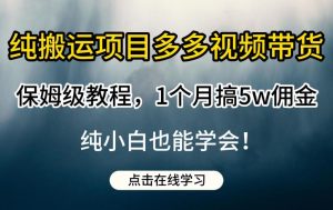 纯搬运项目多多视频带货保姆级教程，1个月搞5w佣金，纯小白也能学会【揭秘】-稀缺资源库