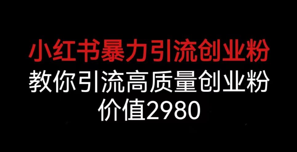 小红书暴力引流创业粉，教你引流高质量创业粉，价值2980【揭秘】-稀缺资源库