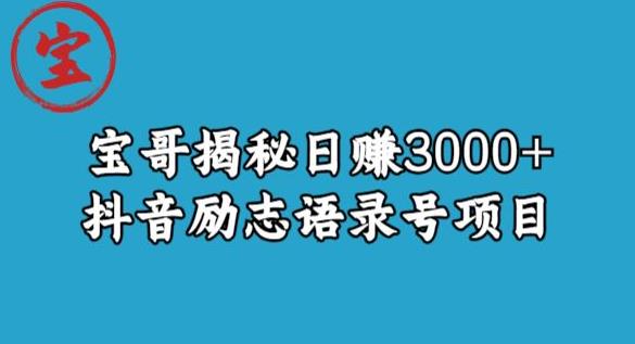 宝哥揭秘日赚3000+抖音励志语录号短视频变现项目-稀缺资源库