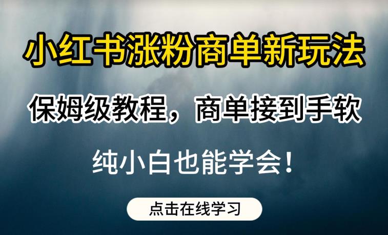小红书涨粉商单新玩法，保姆级教程，商单接到手软，纯小白也能学会【揭秘】-稀缺资源库