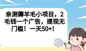 亲测薅羊毛小项目,2毛钱一个广告,提现无门槛!一天50+【揭秘】-稀缺资源库